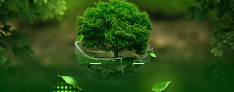 Comment les processus BIM rendent les constructions plus écologiques ?